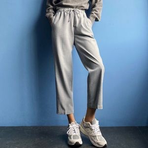 Aritzia Babaton Jimmy Pant